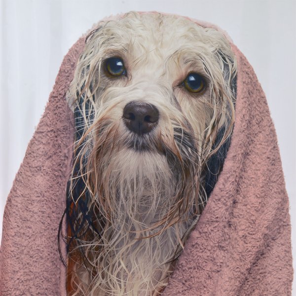 Κουρτίνα Μπάνιου (180x200) Dogga Lino Home