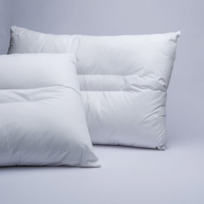 Μαξιλάρι Ανατομικό Aloe Vera Palamaiki